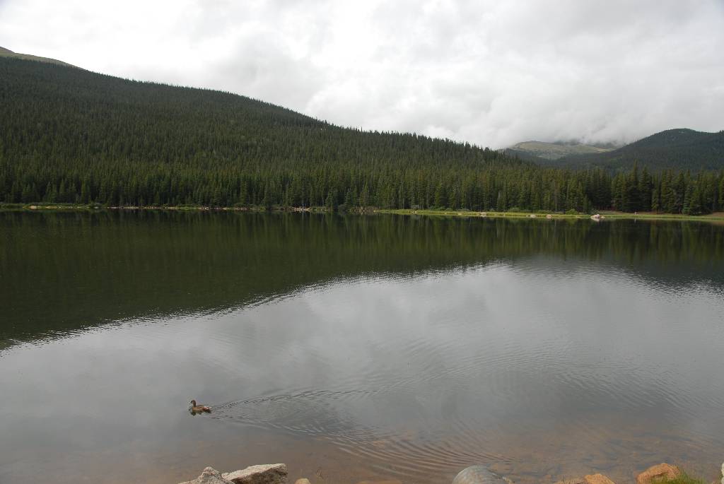 Original image