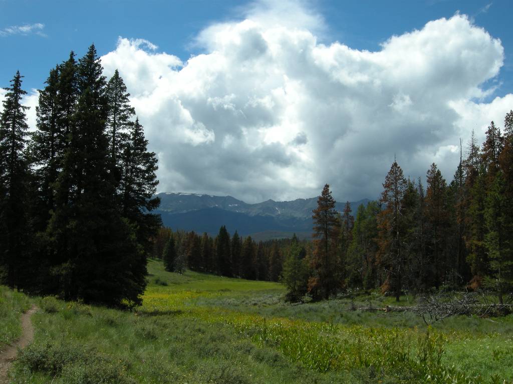 Original image