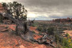 2010-05-11_17h37m20s_22s_26s_28s_30s_tonemapped 